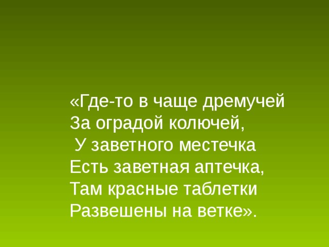 «Где-то в чаще дремучей  За оградой колючей,  У заветного местечка  Есть заветная аптечка,  Там красные таблетки  Развешены на ветке».   Назовите популярное лекарственное растение.