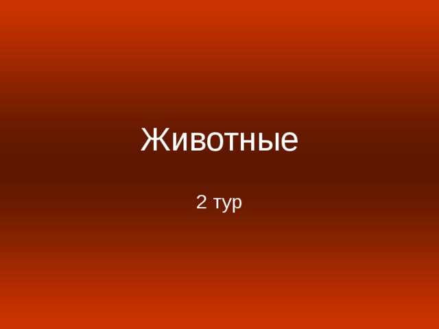 Животные 2 тур