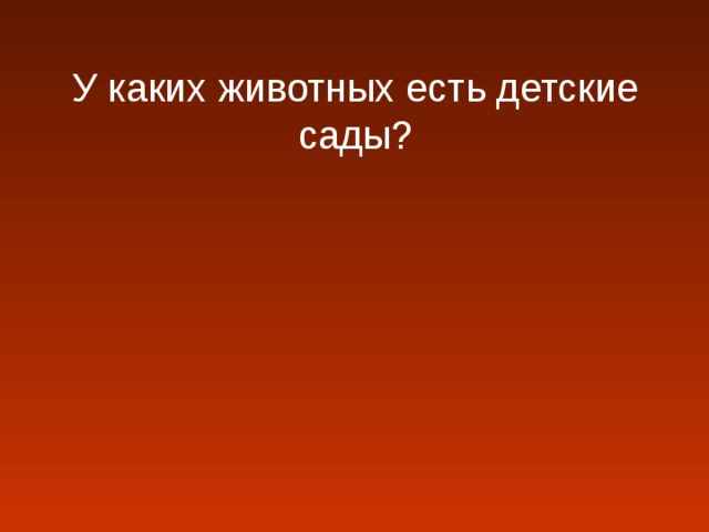 У каких животных есть детские сады?