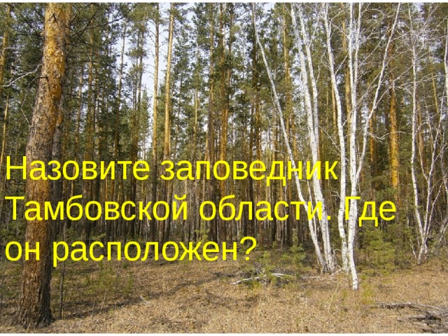 Назовите заповедник Тамбовской области. Где он расположен?