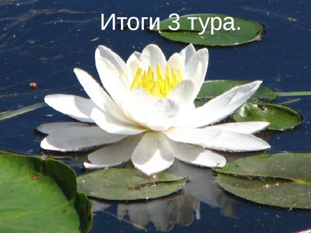 Итоги 3 тура. Итоги 3 тура.