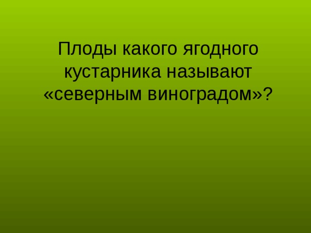 Плоды какого ягодного кустарника называют «северным виноградом»?