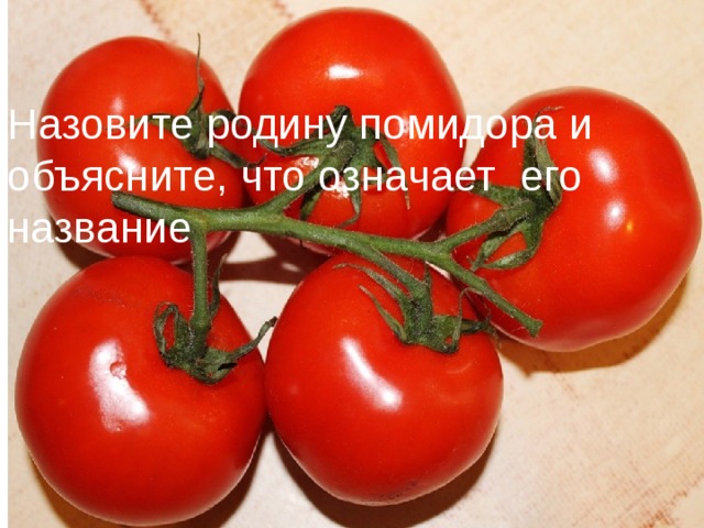 Назовите родину помидора и объясните, что означает его название Назовите родину помидора и объясните, что означает его название