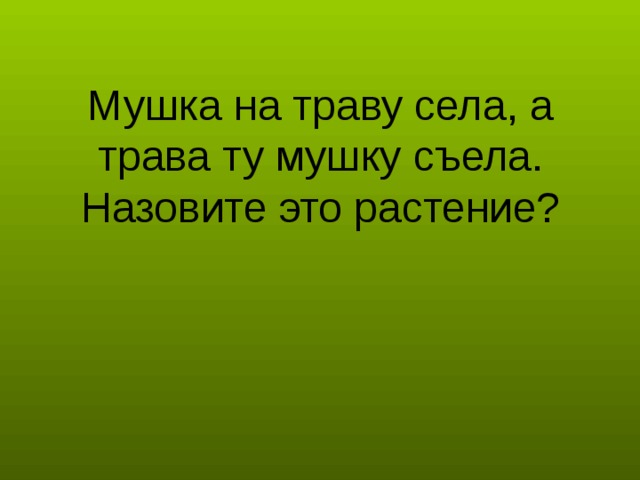 Мушка на траву села, а трава ту мушку съела. Назовите это растение?