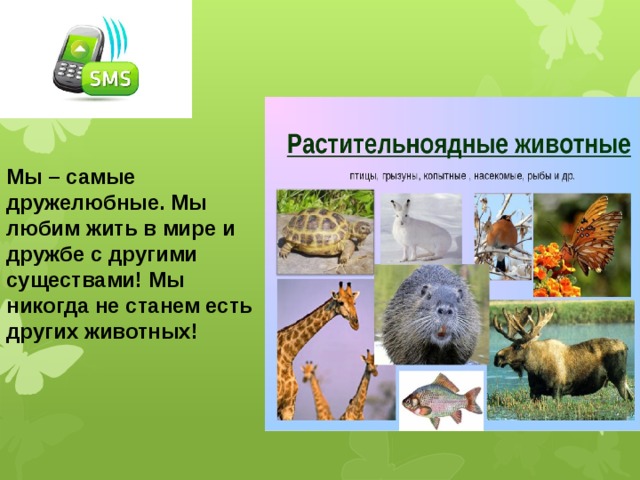 что такое питание животных. Смотреть фото что такое питание животных. Смотреть картинку что такое питание животных. Картинка про что такое питание животных. Фото что такое питание животных