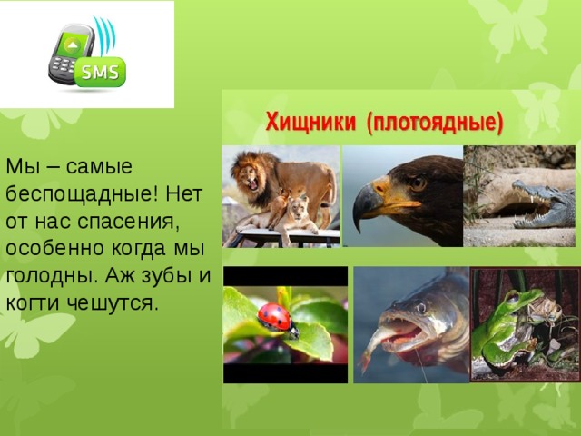 что такое питание животных. Смотреть фото что такое питание животных. Смотреть картинку что такое питание животных. Картинка про что такое питание животных. Фото что такое питание животных