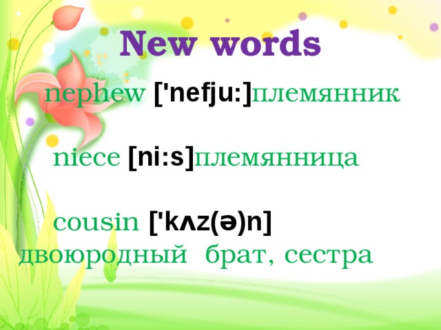 New words  nephew ['nefju:] племянник    niece [ni:s] племянница    cousin ['kʌz(ə)n] двоюродный брат, сестра  