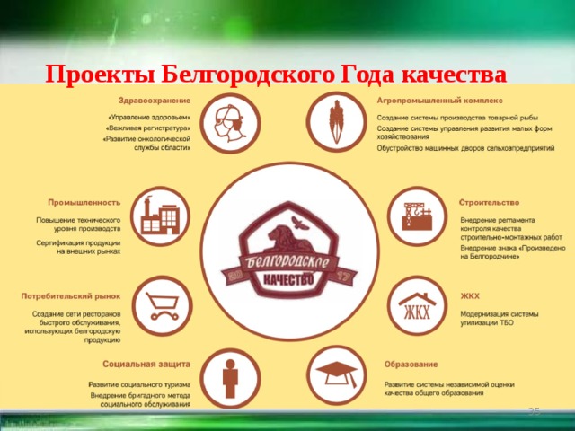 Проекты Белгородского Года качества  