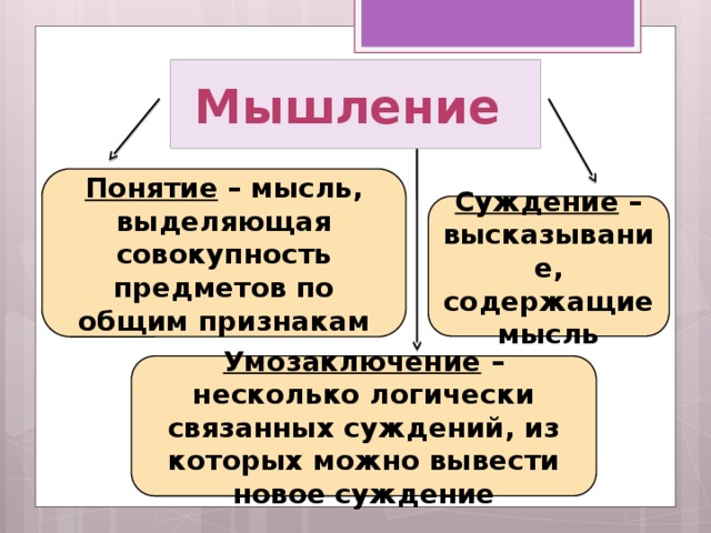 Суждение понятия общества