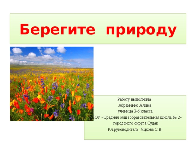 Берегите природу Работу выполнила Абраменко Алина ученица 3-б класса МБОУ «Средняя общеобразовательная школа № 2»  городского округа Судак Кл.руководитель: Яцкова С.В. 