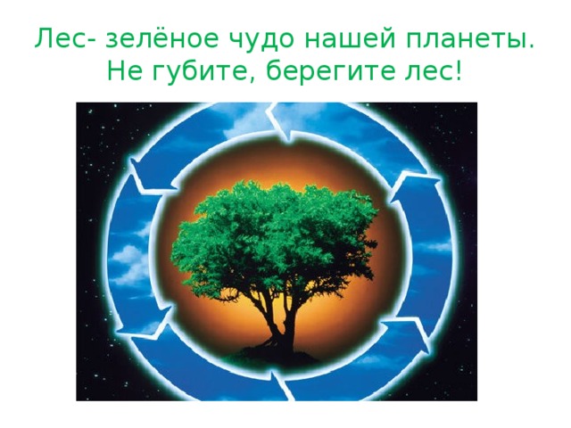 Лес- зелёное чудо нашей планеты.  Не губите, берегите лес! 