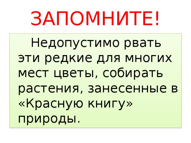 ЗАПОМНИТЕ!  Недопустимо рвать эти редкие для многих мест цветы, собирать растения, занесенные в «Красную книгу» природы. 