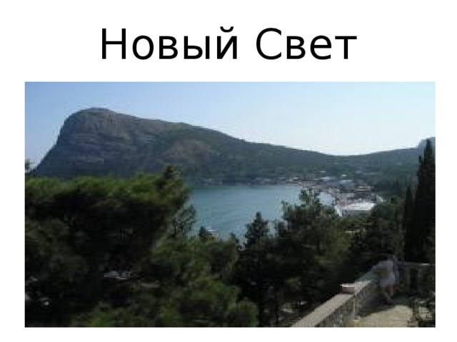 Новый Свет 