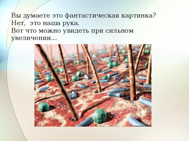 Вы думаете это фантастическая картинка?  Нет, это наша рука.  Вот что можно увидеть при сильном увеличении… 