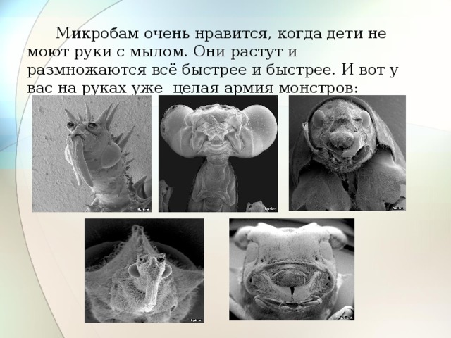 Микробы картинки прикольные