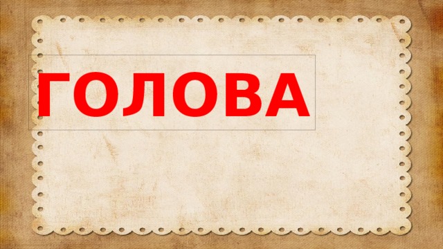 ГОЛОВА