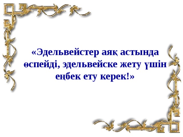 «Эдельвейстер аяқ астында өспейді, эдельвейске жету үшін еңбек ету керек!» 