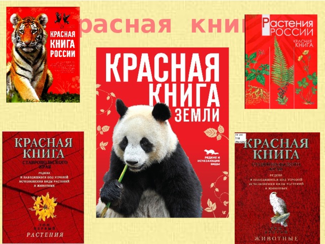 Красная книга 