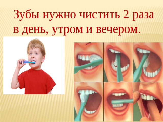Зубы нужно чистить 2 раза в день, утром и вечером. 