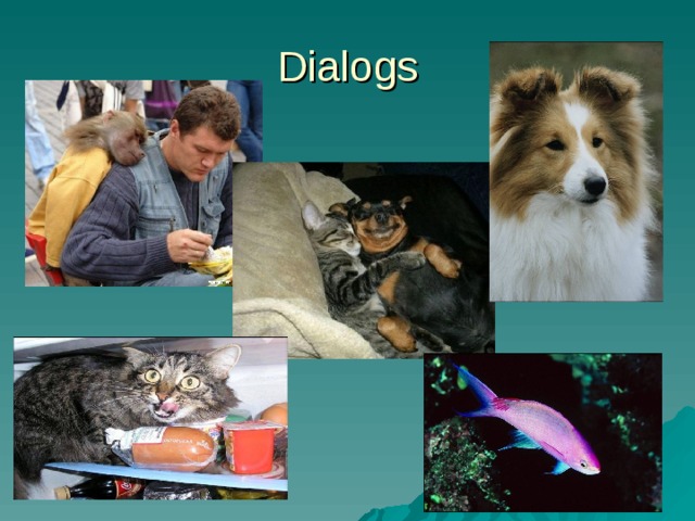 Dialogs 