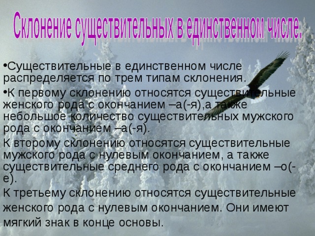 Существительные в единственном числе распределяется по трем типам склонения. К первому склонению относятся существительные женского рода с окончанием –а(-я),а также небольшое количество существительных мужского рода с окончанием –а(-я). К второму склонению относятся существительные мужского рода с нулевым окончанием, а также существительные среднего рода с окончанием –о(-е). К третьему склонению относятся существительные женского рода с нулевым окончанием. Они имеют мягкий знак в конце основы. 