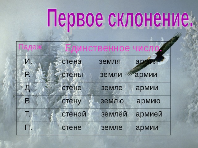 Падеж  Единственное число.  И.  стена земля армия  Р.  стены земли армии  Д.  стене земле армии  В.  стену землю армию  Т.  стеной землёй армией  П.  стене земле армии 