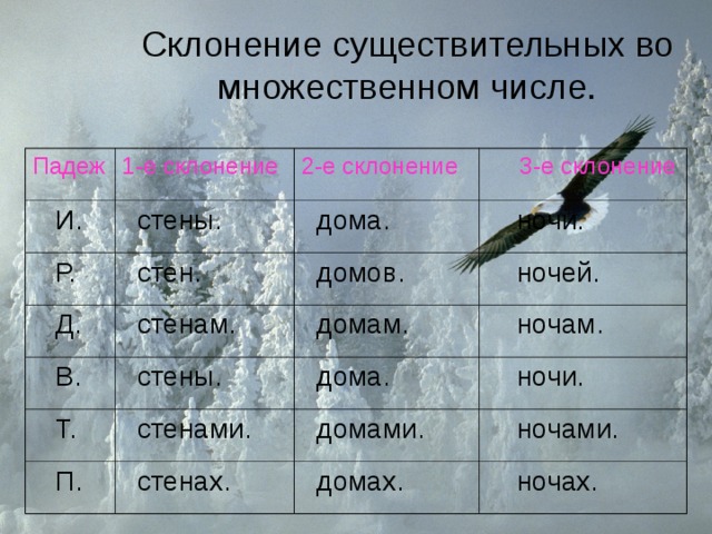 Склонение существительных во множественном числе. Падеж 1-е склонение  И.  стены. 2-е склонение  Р.  Д.  3-е склонение  дома.  стен.  стенам.  ночи.  В.  домов.  ночей.  домам.  стены.  Т.  ночам.  стенами.  П.  дома.  стенах.  ночи.  домами.  ночами.  домах.  ночах. 