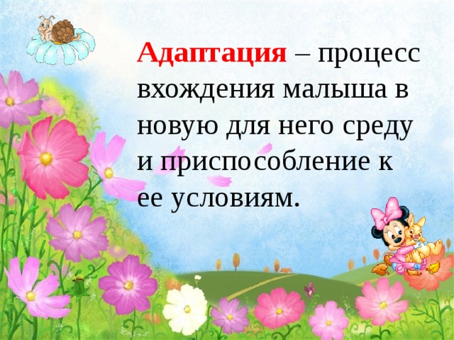 Адаптация  – процесс вхождения малыша в новую для него среду и приспособление к ее условиям.    