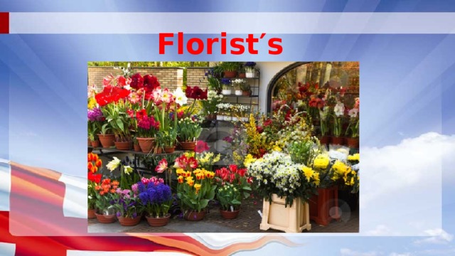 Florist′s  