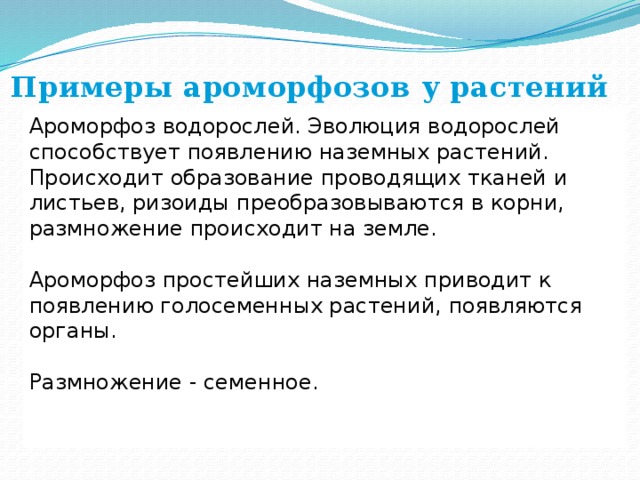 Примеры ароморфозов у растений Ароморфоз водорослей. Эволюция водорослей способствует появлению наземных растений. Происходит образование проводящих тканей и листьев, ризоиды преобразовываются в корни, размножение происходит на земле. Ароморфоз простейших наземных приводит к появлению голосеменных растений, появляются органы. Размножение - семенное. 