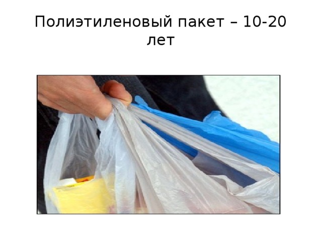 Полиэтиленовый пакет – 10-20 лет 