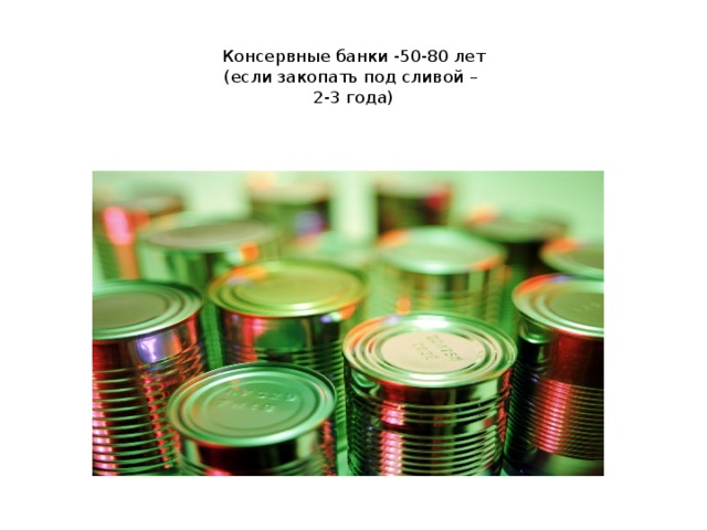  Консервные банки -50-80 лет  (если закопать под сливой –  2-3 года) 