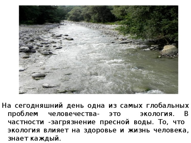 На сегодняшний день одна из самых глобальных проблем человечества- это экология. В частности -загрязнение пресной воды. То, что экология влияет на здоровье и жизнь человека, знает каждый. 