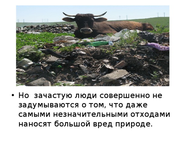 Но зачастую люди совершенно не задумываются о том, что даже самыми незначительными отходами наносят большой вред природе. 