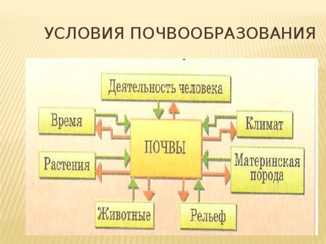 Факторы почвообразования схема