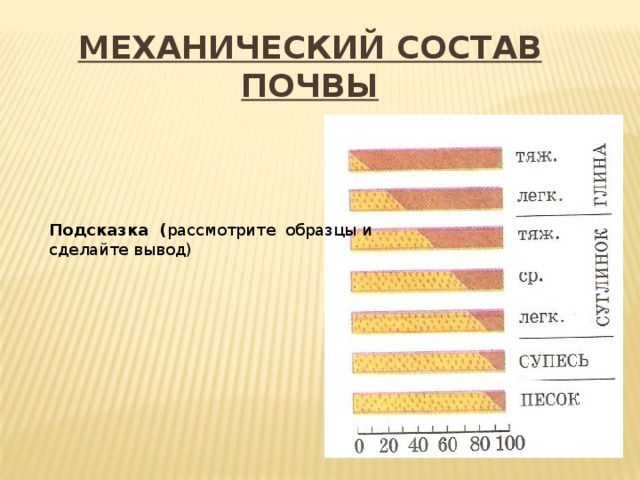 Механический состав почвы Подсказка ( рассмотрите образцы и сделайте вывод) 