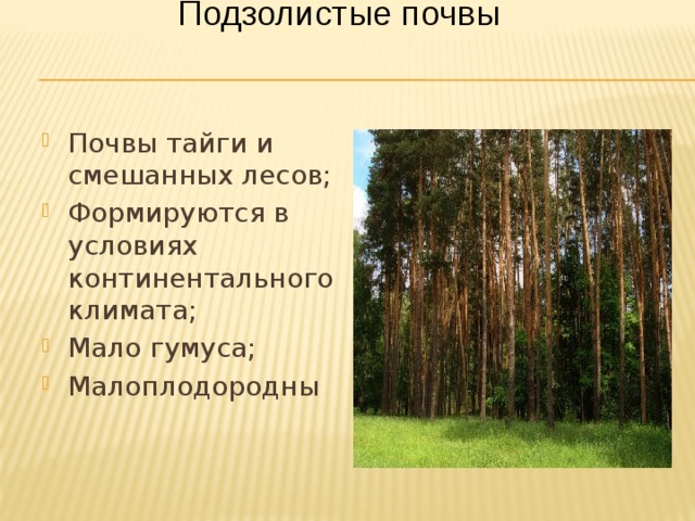 Подзолистые почвы Почвы тайги и смешанных лесов; Формируются в условиях континентального климата; Мало гумуса; Малоплодородны 