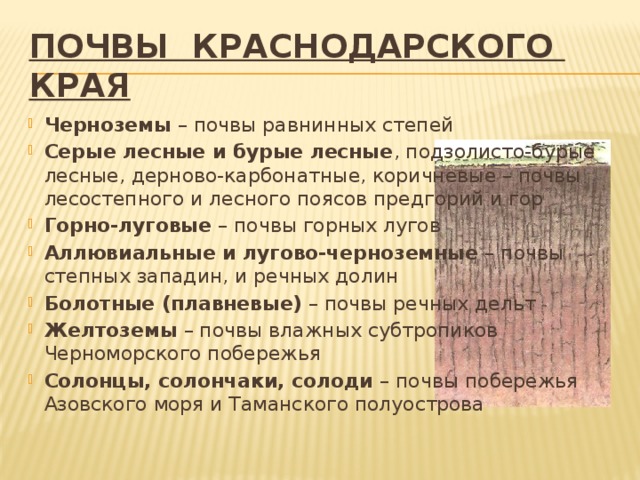 ПОЧВЫ КРАСНОДАРСКОГО КРАЯ Черноземы  – почвы равнинных степей Серые лесные и бурые лесные , подзолисто-бурые лесные, дерново-карбонатные, коричневые – почвы лесостепного и лесного поясов предгорий и гор Горно-луговые  – почвы горных лугов Аллювиальные и лугово-черноземные  – почвы степных западин, и речных долин Болотные (плавневые)  – почвы речных дельт Желтоземы  – почвы влажных субтропиков Черноморского побережья Солонцы, солончаки, солоди  – почвы побережья Азовского моря и Таманского полуострова 