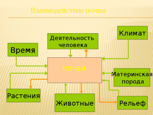 Взаимодействие почвы Климат Деятельность человека Время почва Материнская  порода Растения Животные Рельеф 