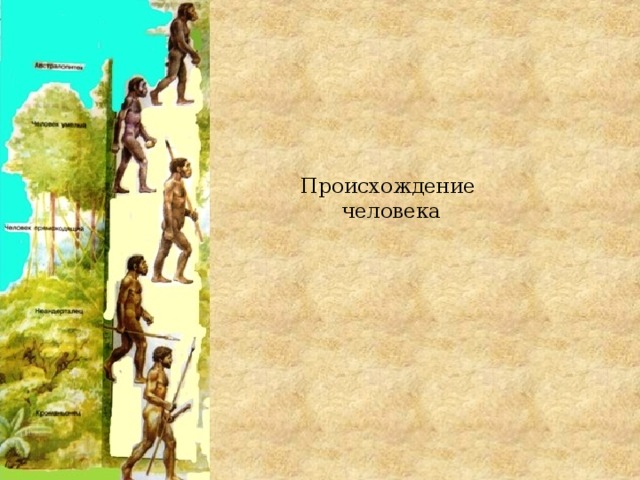 Происхождение  человека    