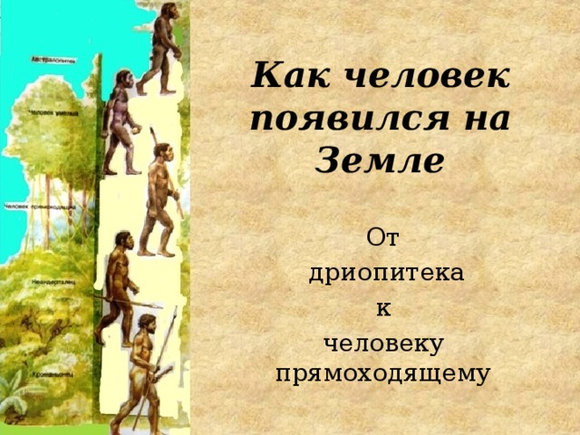 Как человек появился на Земле От  дриопитека к человеку прямоходящему 