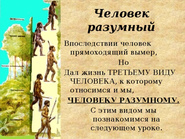 Человек разумный Впоследствии человек прямоходящий вымер, Но Дал жизнь ТРЕТЬЕМУ ВИДУ ЧЕЛОВЕКА, к которому относимся и мы, ЧЕЛОВЕКУ РАЗУМНОМУ. С этим видом мы познакомимся на следующем уроке. 