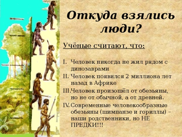 Откуда взялись люди? Учёные считают, что: Человек никогда не жил рядом с динозаврами Человек появился 2 миллиона лет назад в Африке Человек произошёл от обезьяны, но не от обычной, а от древней. Современные человекообразные обезьяны (шимпанзе и гориллы) – наши родственники, но НЕ ПРЕДКИ!!! 