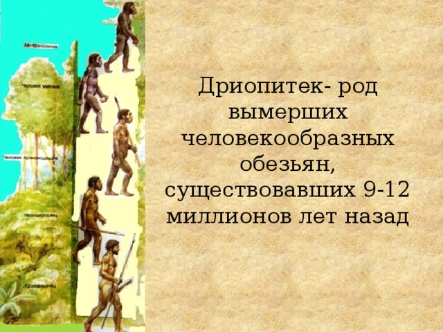 Дриопитек- род вымерших человекообразных обезьян, существовавших 9-12 миллионов лет назад   