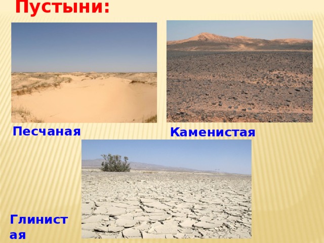 Пустыни:  Песчаная  Каменистая  Глинистая  