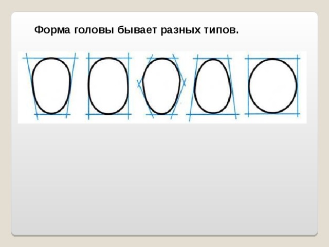 Форма головы бывает разных типов. 