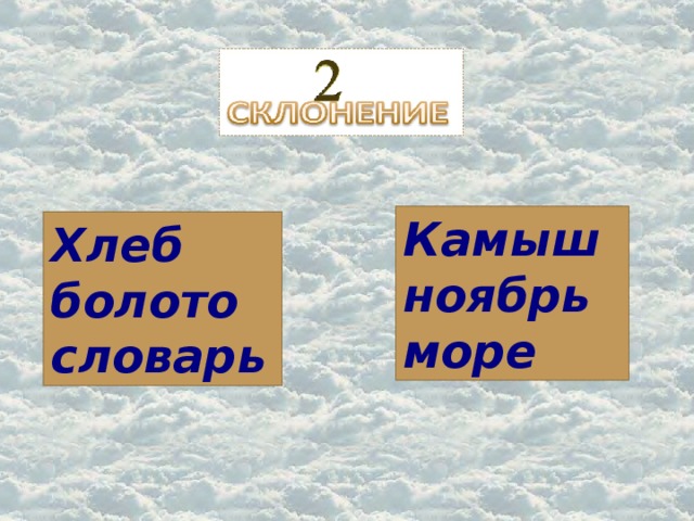 Камыш ноябрь море Хлеб болото словарь