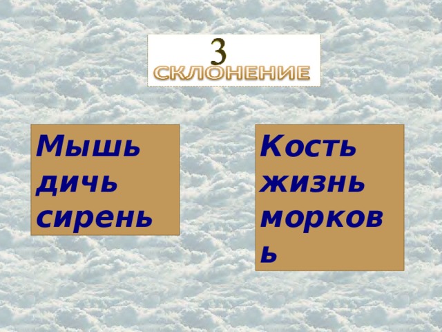 Мышь дичь сирень Кость жизнь морковь