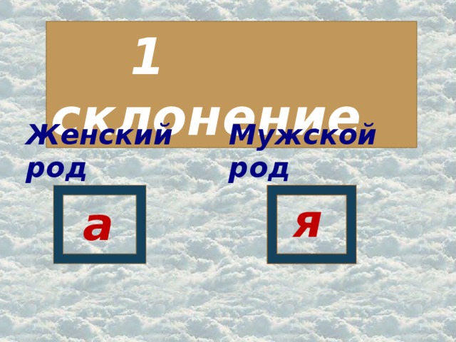 1 склонение Женский род Мужской род я а