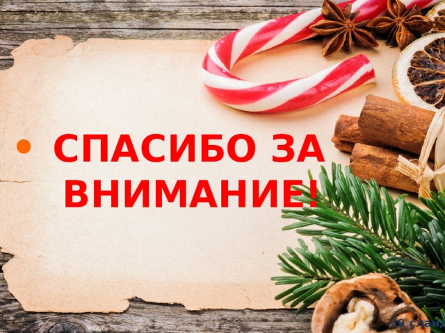 •  СПАСИБО ЗА  ВНИМАНИЕ! 29 слайд  